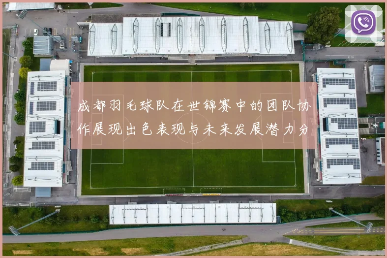 成都羽毛球队在世锦赛中的团队协作展现出色表现与未来发展潜力分析