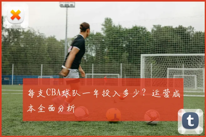 每支CBA球队一年投入多少？运营成本全面分析